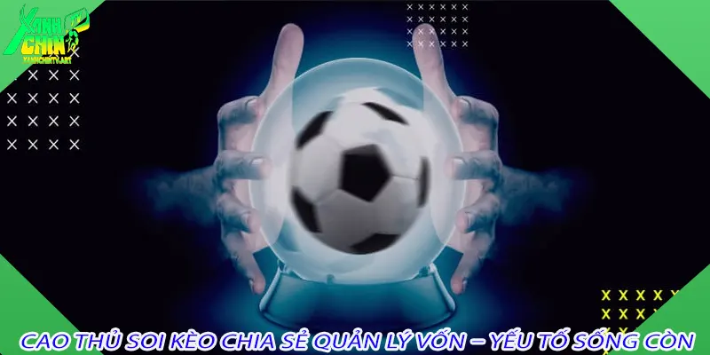 Cao thủ soi kèo chia sẻ quản lý vốn – yếu tố sống còn