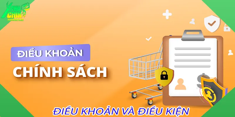Điều khoản và điều kiện