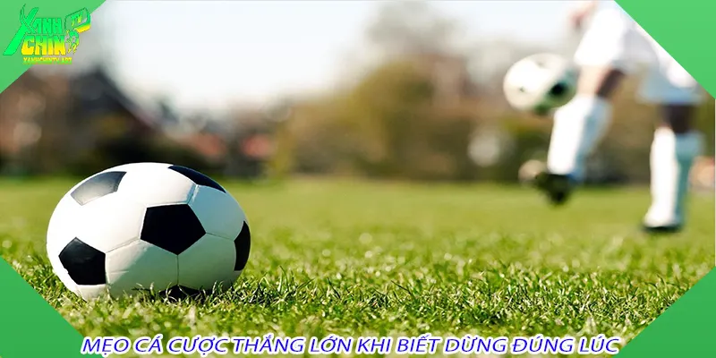 Mẹo cá cược thắng lớn khi biết dừng đúng lúc