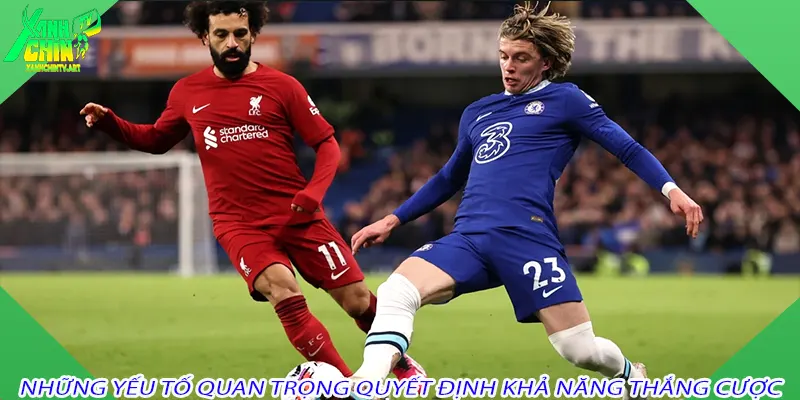 Những yếu tố quan trọng quyết định khả năng thắng cược
