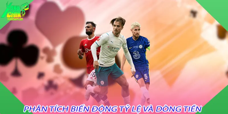 Phân Tích Biến Động Tỷ Lệ Và Dòng Tiền