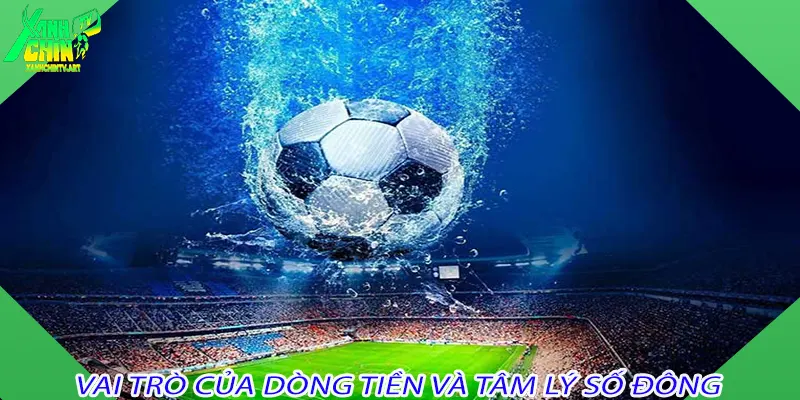 Vai trò của dòng tiền và tâm lý số đông