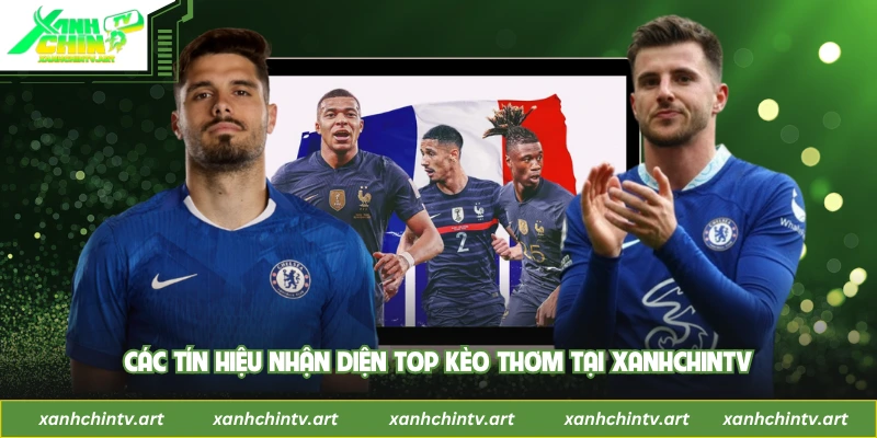 Các tín hiệu nhận diện Top kèo thơm tại XanhChinTV
